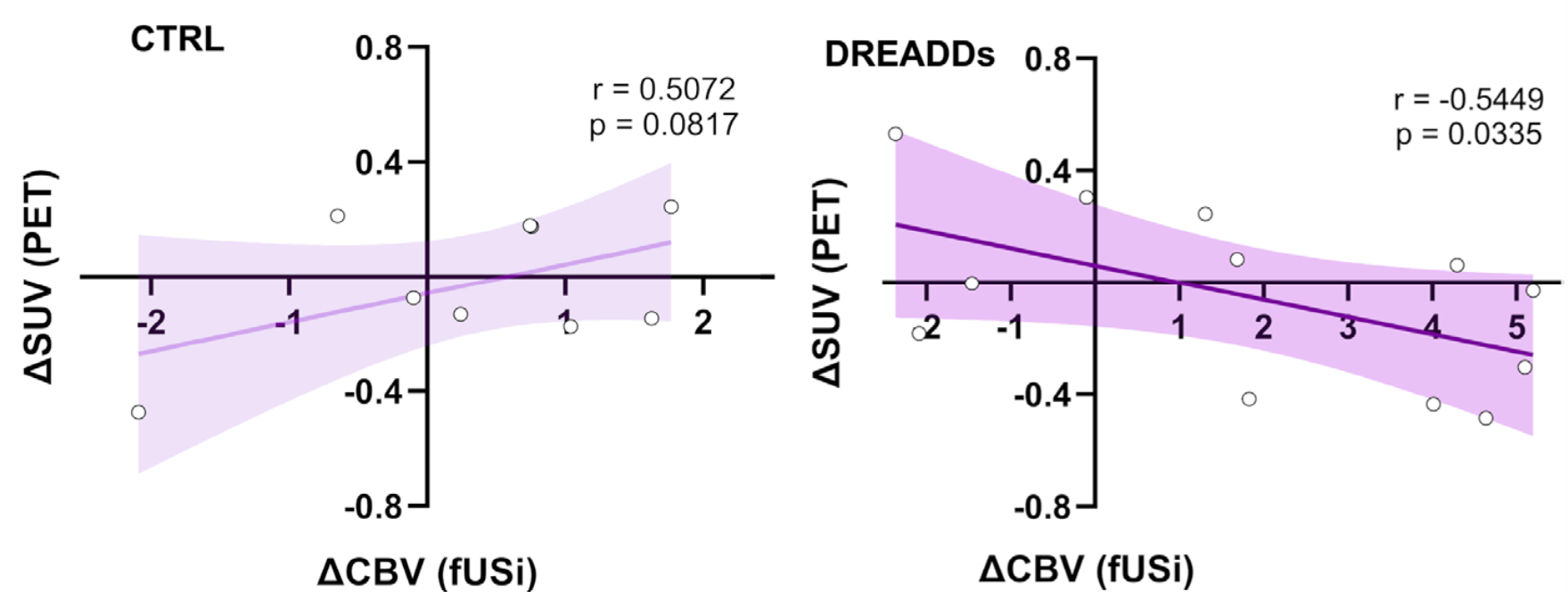 Dissociation between hemodynamic and metabolic responses to chemogenetic modulation of astrocytes in mouse visual cortex